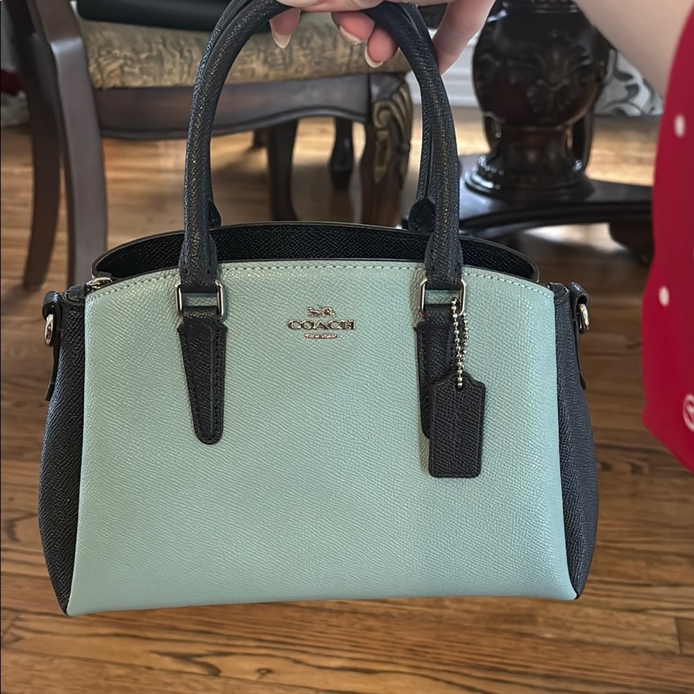 Coach navy blue and Mint Green Women's Bag